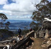 kunanyi / Mt Wellington Explorer Bus - 2 Hour Return Tour - Find Attractions