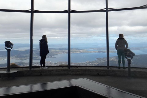 Kunanyi / Mt Wellington Explorer Bus - 2 Hour Return Tour - Find Attractions 1