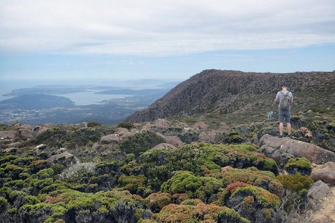 Kunanyi / Mt Wellington Explorer Bus - 2 Hour Return Tour - Find Attractions 3