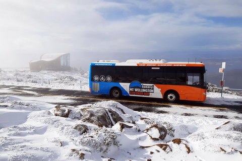 Kunanyi/Mt Wellington Tour & Hobart Hop-On Hop-Off Bus - Find Attractions 2