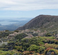 kunanyi/Mt Wellington Explorer Bus - One Way Tour - Find Attractions