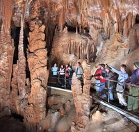 Private Tour Jenolan Caves  Blue Mountains in a day - Find Attractions