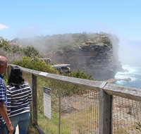 Sydney Shore Excursion Half-Day Sydney City Highlights with Bondi Beach and Watsons Bay - Find Attractions