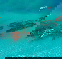 Private Tangalooma Wrecks Tour - Find Attractions