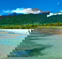 5-Day Best of Cairns with Daintree Kuranda and Great Barrier Reef - Find Attractions