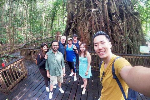 Cairns 4WD Waterfall And Rainforest Tour Including Kuranda Scenic Railway - Find Attractions 0
