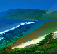 Cairns Reef and Rainforest Combo Daintree Rainforest and the Great Barrier Reef - Find Attractions
