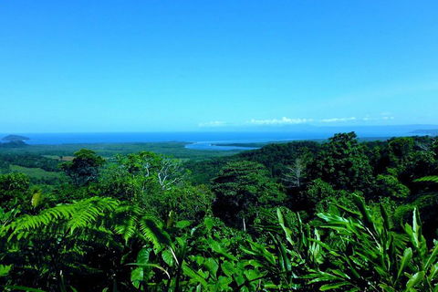 Cape Tribulation, Mossman Gorge, And Daintree Rainforest Premium Day Tour - Find Attractions 5