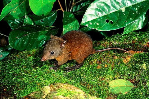 3-Day Small-Group Tour Of North Queensland With Pick Up - Find Attractions 0