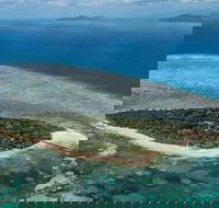 4-Day Cairns with Great Barrier Reef and Daintree Rainforest - Find Attractions