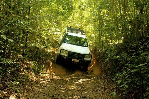 Cairns National Park Rainforest And Waterfall Small Group Tour Shore Excursion - Find Attractions 0