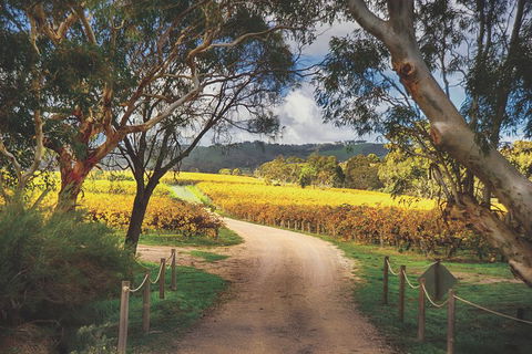 McLaren Vale Winery Small Group Tour With Wine Tasting And Lunch - Find Attractions 1