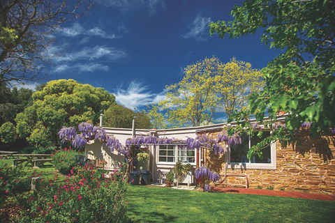 McLaren Vale Winery Small Group Tour With Wine Tasting And Lunch - Find Attractions 2