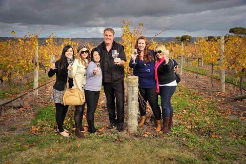 McLaren Vale Winery Small Group Tour With Wine Tasting And Lunch - Find Attractions 3