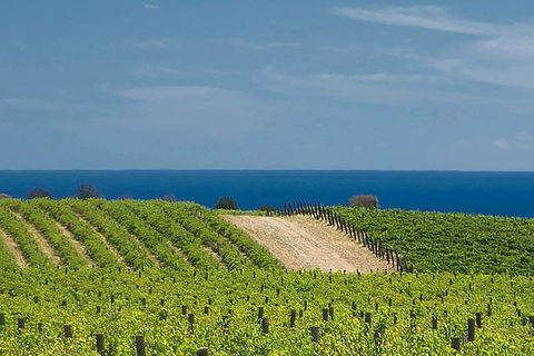 McLaren Vale Winery Small Group Tour With Wine Tasting And Lunch - Find Attractions 4