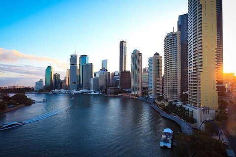 Brisbane City Highlights With Lone Pine! - Find Attractions 3