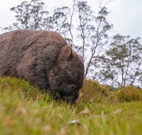 3-Day Cradle Mountain Photography Workshop - Find Attractions