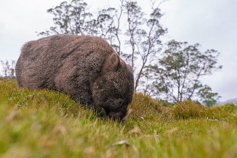 3-Day Cradle Mountain Photography Workshop - Find Attractions 0