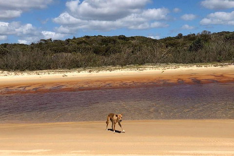 Pippies 3 Days 2 Nights Fraser Island Tour - Find Attractions 2