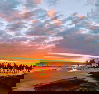 1 Hour Broome Sunset Camel Tour - Find Attractions