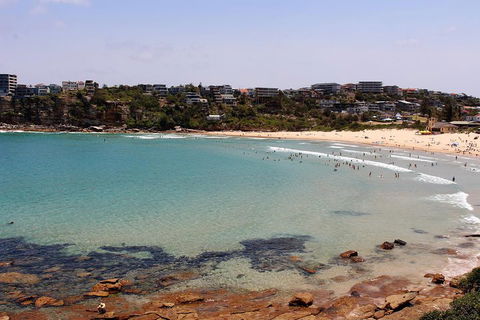 Half Day Manly Beach And More - Find Attractions 2