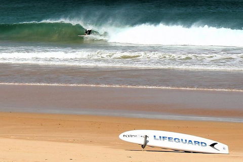 Half Day Manly Beach And More - Find Attractions 5