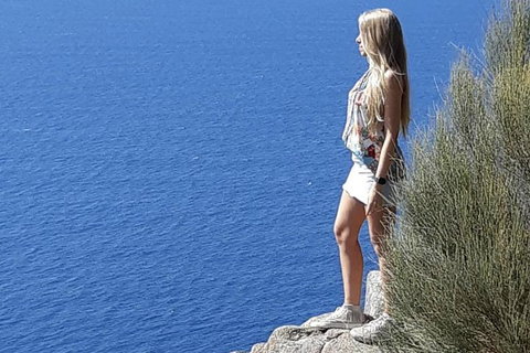 Bruny Island Day Trip From Hobart - Find Attractions 3