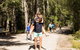 7-Day Best Of Tasmania Adventure Experience From Hobart (flexible Ticket) - thumb 5