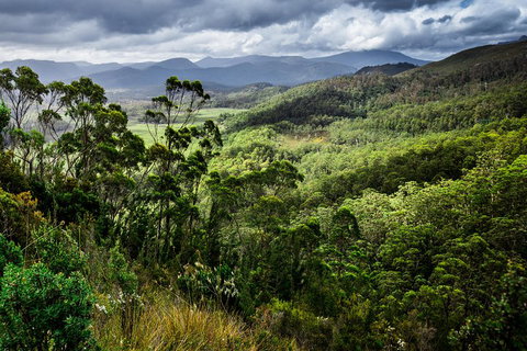 5-Day Lap Of Tasmania Tour From Hobart (flexible Ticket) - Find Attractions 2
