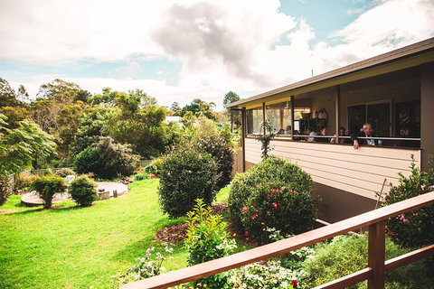 Full-day Springbrook National Park Tour From The Gold Coast - Find Attractions 2