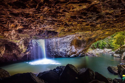 Full-day Springbrook National Park Tour From The Gold Coast - Find Attractions 3