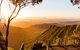 O'Reilly's & Lamington National Park Incl. Alpaca Farm + Vineyard - thumb 0