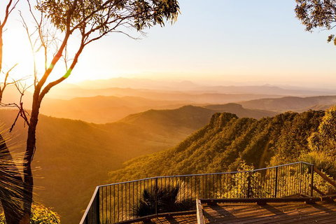 O'Reilly's & Lamington National Park Incl. Alpaca Farm + Vineyard - Find Attractions 0
