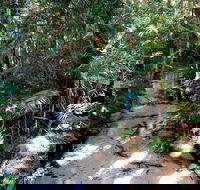 Fraser Island 4WD Tour from Rainbow Beach - Find Attractions