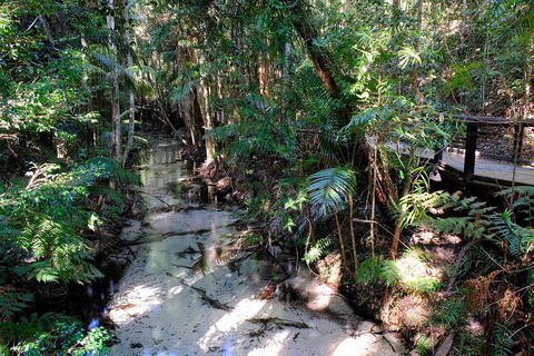 Fraser Island 4WD Tour From Rainbow Beach - Find Attractions 0