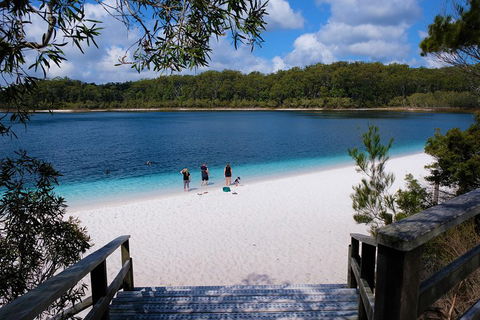 Fraser Island 4WD Tour From Rainbow Beach - Find Attractions 3