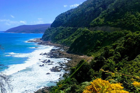 Great Ocean Road Adventure - Private Tour - Reverse - Find Attractions 3
