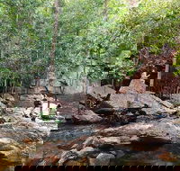 Ethical Adventures - Best in the WET - Litchfield / Kakadu 3 Day- max 10 guests - Find Attractions