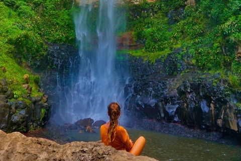 Rainforest & Waterfalls Extravaganza - Find Attractions 2