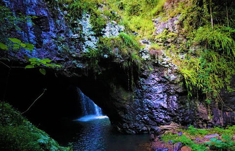 Rainforest & Waterfalls Extravaganza - Find Attractions 5