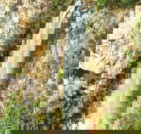 Private Tour - Rainforest  Waterfalls Extravaganza - Find Attractions
