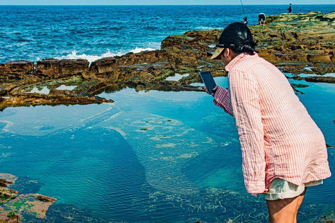 Sydney Private Tour Featuring Wilderness, Wildlife, Waves, Waterfalls And Wine - Find Attractions 1