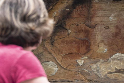 Sydney Private Tour Featuring Wilderness, Wildlife, Waves, Waterfalls And Wine - Find Attractions 2