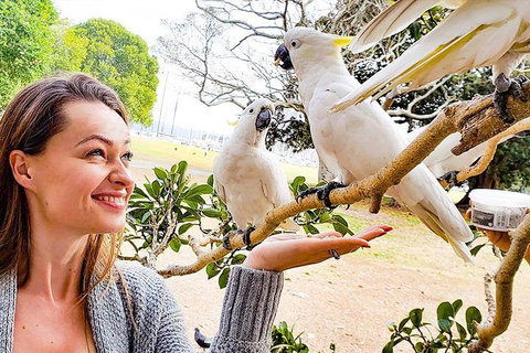 Sydney Private Tour Featuring Wilderness, Wildlife, Waves, Waterfalls And Wine - Find Attractions 4