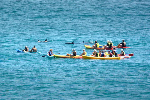 The Byron Bay Sea Kayak Tour - Find Attractions 1