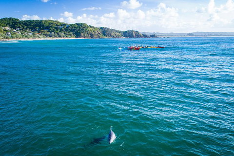 The Byron Bay Sea Kayak Tour - Find Attractions 2