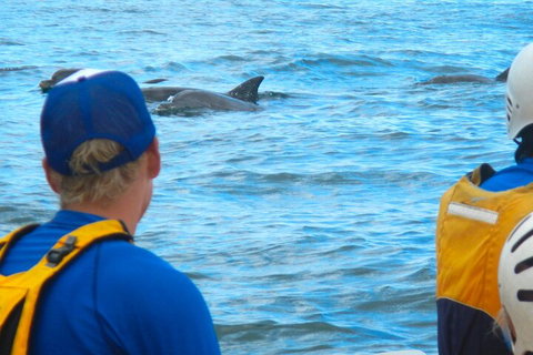 The Byron Bay Sea Kayak Tour - Find Attractions 4