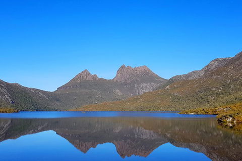 Tasmania 6 Day 'Tour In Circle' - Find Attractions 3