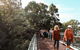 Highlights Of Kings Park - thumb 3