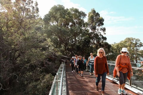 Highlights Of Kings Park - Find Attractions 3